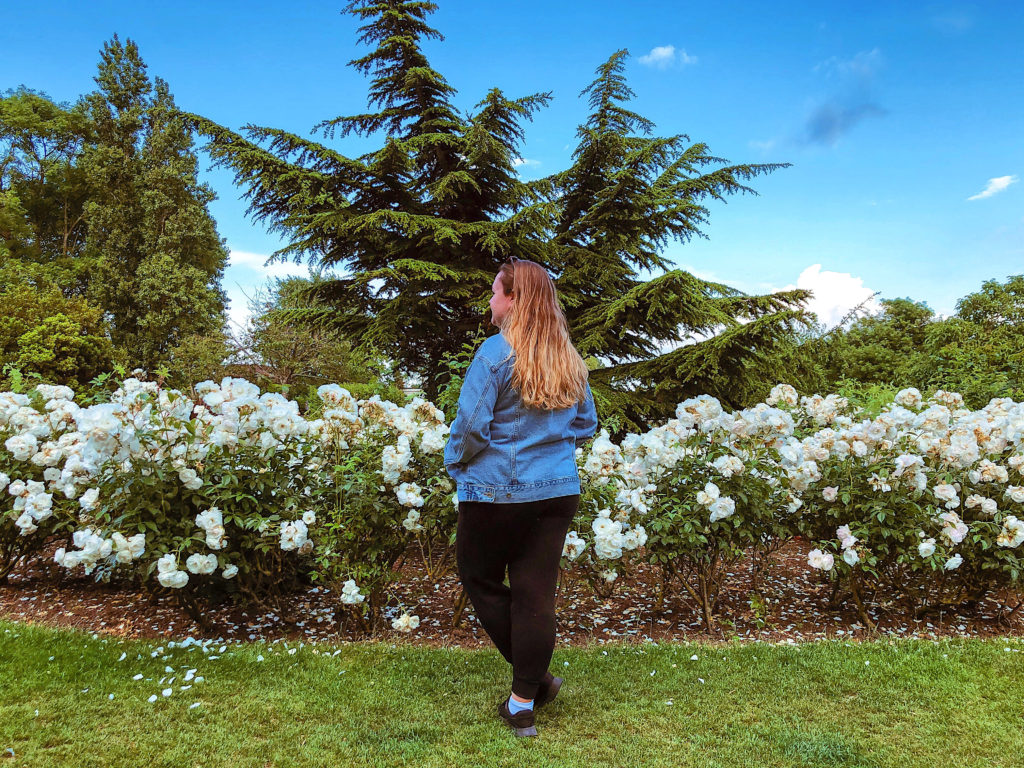 Tobit’s Tidbits : 13 Tips For Daily Positivity