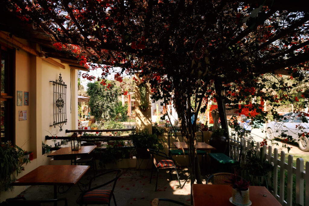 A Review Of Luchy’s Country House – A Whimsical Ranch On The Outskirts Of Huacachina